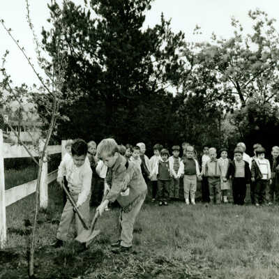 Arbor Day