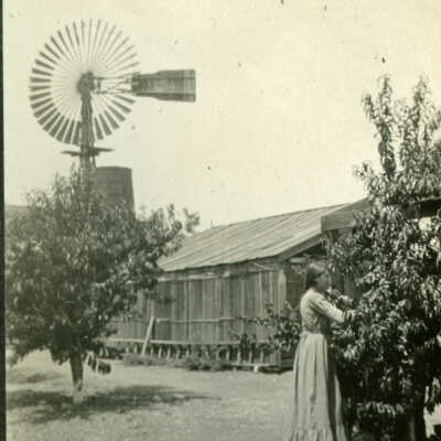 Windmill