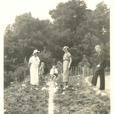 In the garden