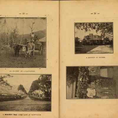 Pages 30 and 31