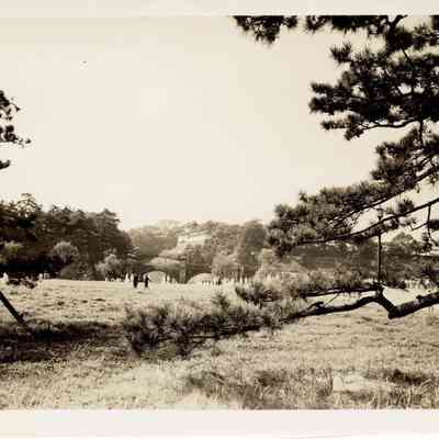 Palace Grounds