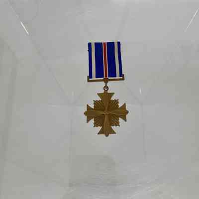Distinguished Flying Cross of James H. Flatley, Jr.