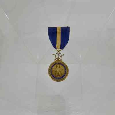 Navy Distinguished Service Medal of James H. Flatley, Jr.