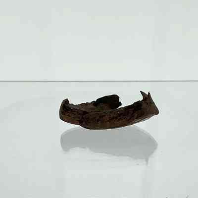 Japanese Bomb Fragment
