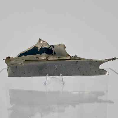 Japanese Plane Fragment