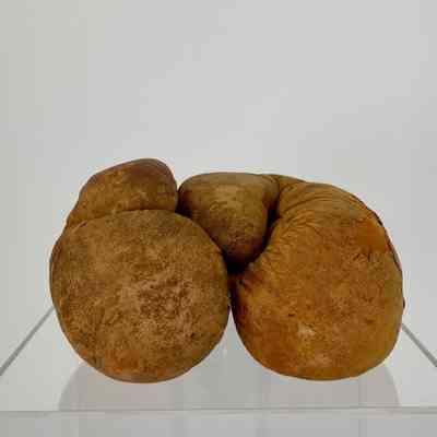 Boxing Glove