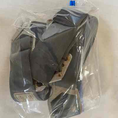 Seat Belt Restraints