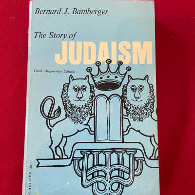 Book- The Story of Judaism