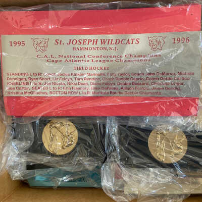 Collection of Award Plaque Faces