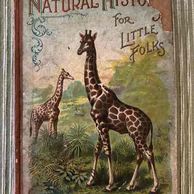 “Natural History For Little Folks