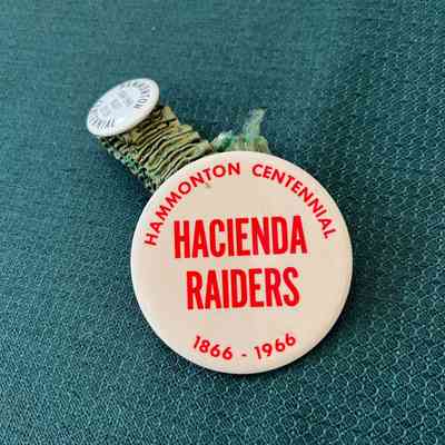 Garter with 2 pins from 1966 Hammonton Centennial