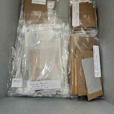 Glass Negatives from Jacobs, Depuy, & Tilton Families