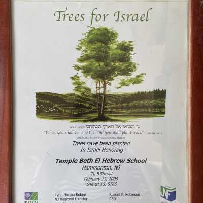 Trees for Israel