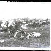 Negative, glass plate