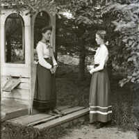 Negative, glass plate
