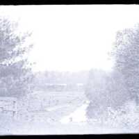 Negative, glass plate