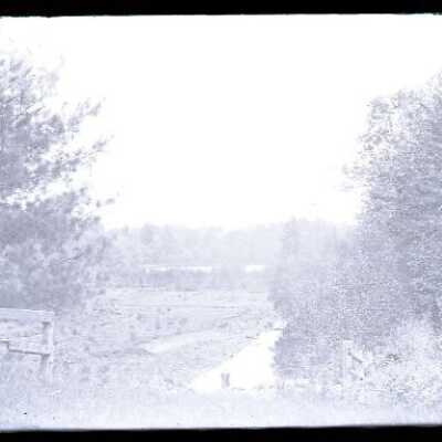 Negative, glass plate