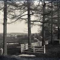 Negative, glass plate