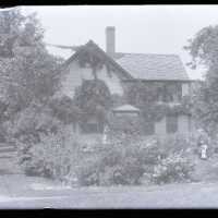 Negative, glass plate