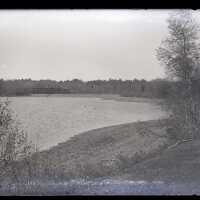 Negative, glass plate