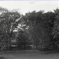 Negative, glass plate