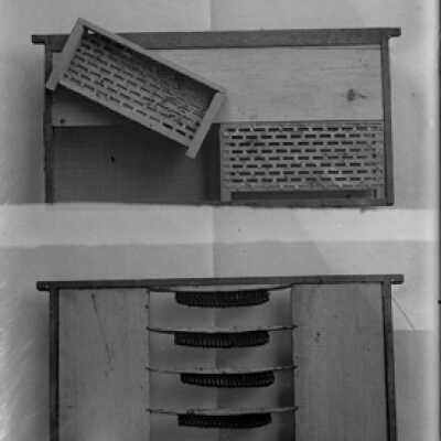 Negative, glass plate