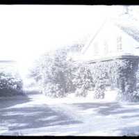 Negative, glass plate