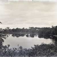 Negative, glass plate