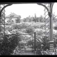 Negative, glass plate