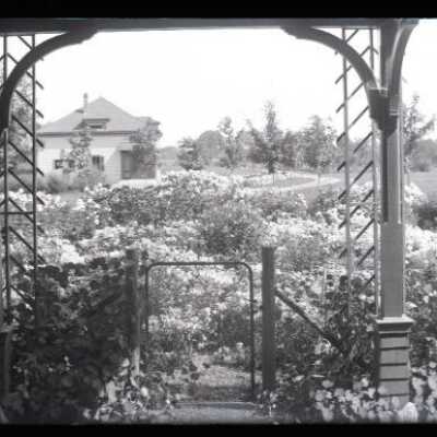 Negative, glass plate
