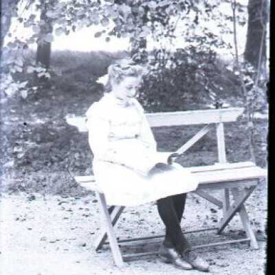 Negative, glass plate