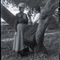Negative, glass plate