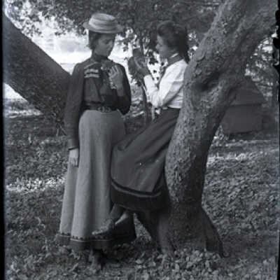Negative, glass plate