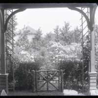 Negative, glass plate