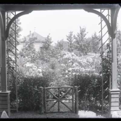 Negative, glass plate