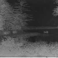 Negative, glass plate