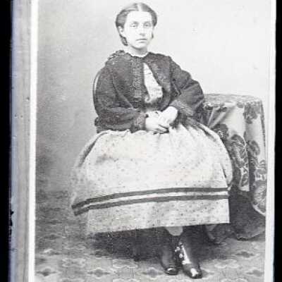 Negative, glass plate