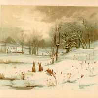 Card, Christmas