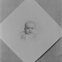 Negative, glass plate