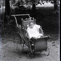Negative, glass plate