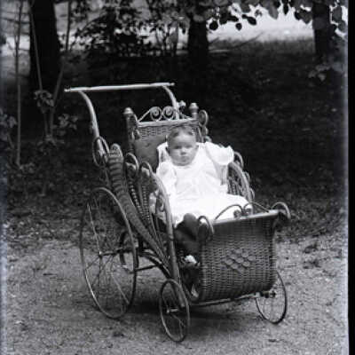 Negative, glass plate