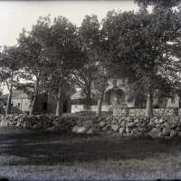 Negative, glass plate