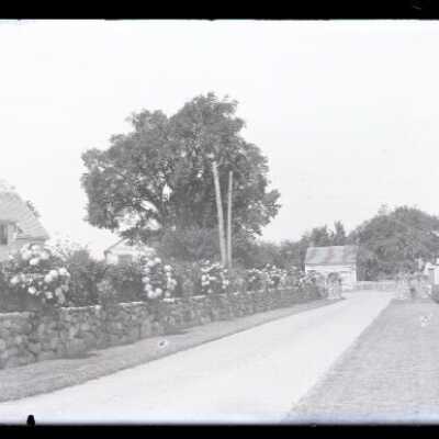 Negative, glass plate