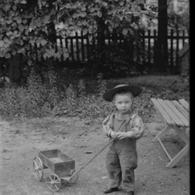 Negative, glass plate