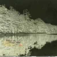 Negative, glass plate