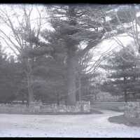 Negative, glass plate