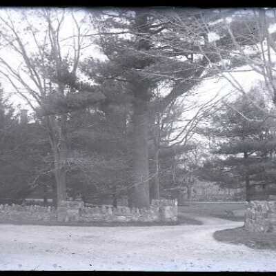 Negative, glass plate
