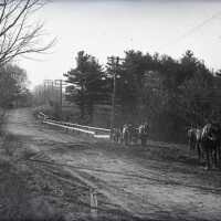 Negative, glass plate