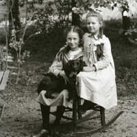 Negative, glass plate