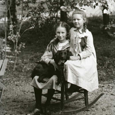 Negative, glass plate